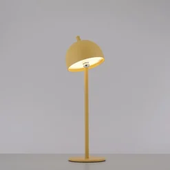 Akku-Stehlampe Bellis