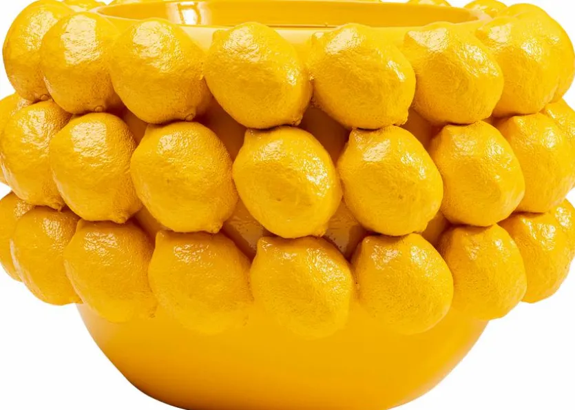 Blumentopf Lemon Juice 54727