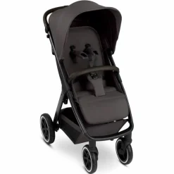 Buggy Avus Air 2 Falcon