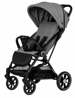 Buggy i maxx stone