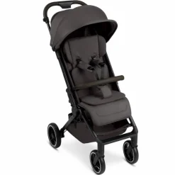 Buggy Ping 3 Trekking Falcon