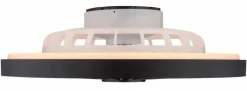 Deckenventilator Blizzak