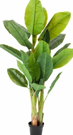 Deko Pflanze 64003 Banana Tree