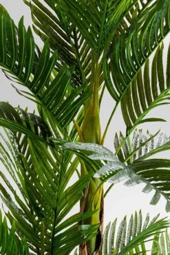 Deko Pflanze 51789 Palm Tree