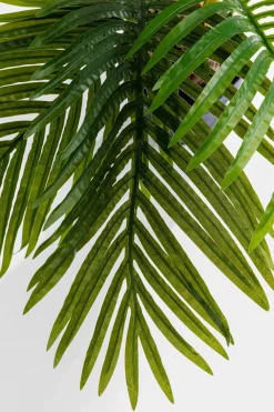 Deko Pflanze 51789 Palm Tree
