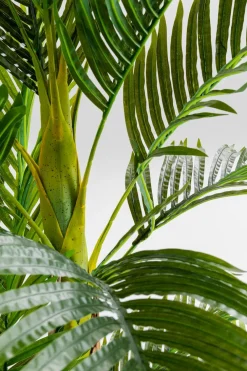 Deko Pflanze 51789 Palm Tree