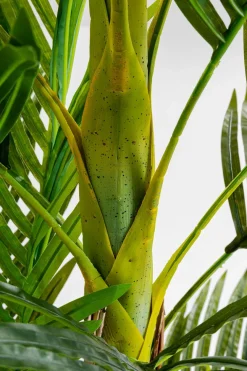 Deko Pflanze 51789 Palm Tree
