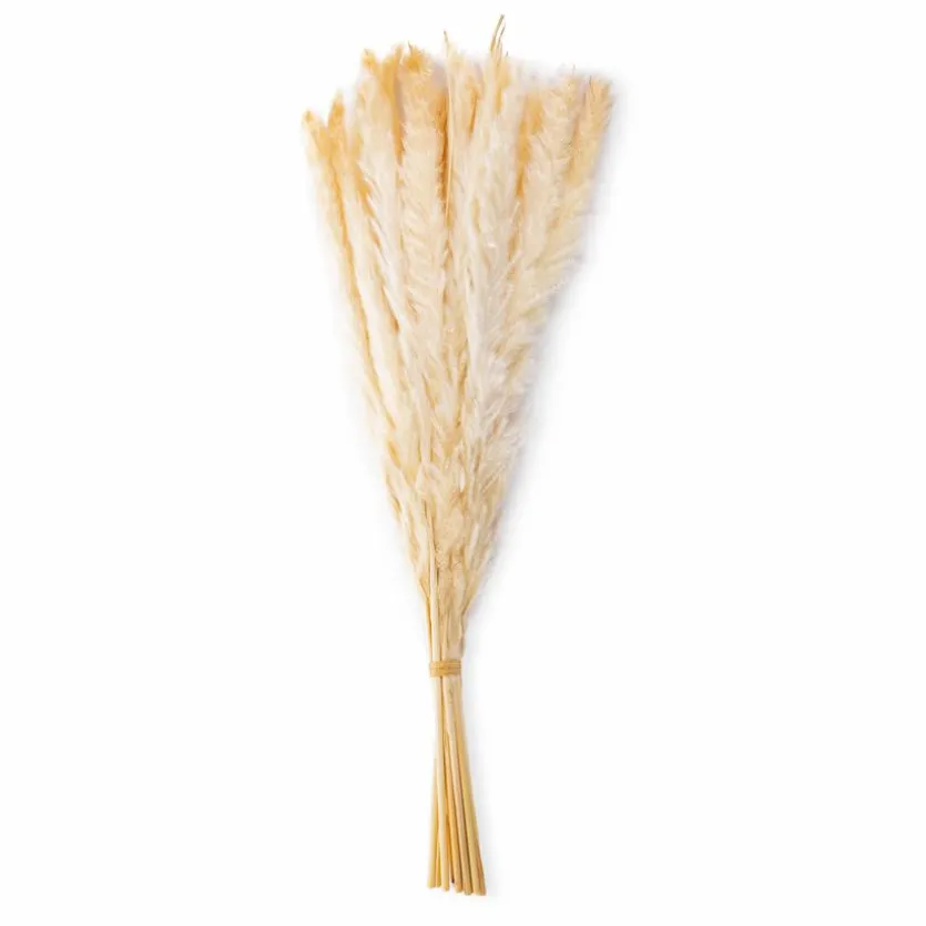 Deko-Strauß Schilfrohr 50 cm