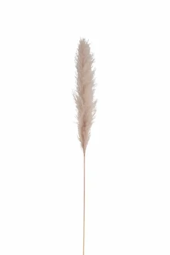 Deko-Zweig Pampasgras 137 cm