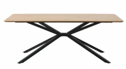 Esstisch Cesura 200 x 100 cm
