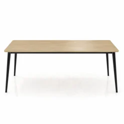 Esstisch Core 200 x 100 cm