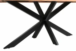 Esstisch Guru 200 x 100