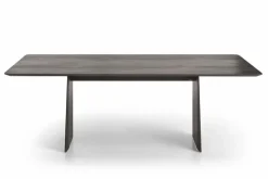 Esstisch Helmond 220 x 100cm