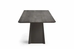 Esstisch Helmond 220 x 100cm