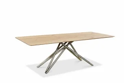 Esstisch Helmond 220 x 100 cm