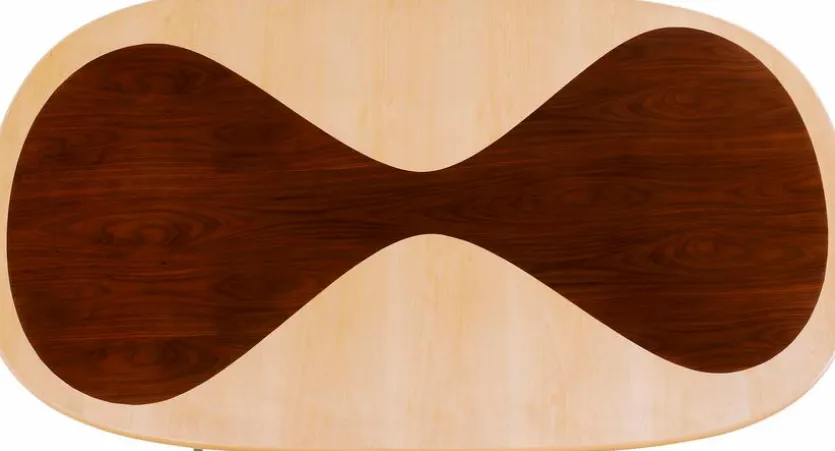 Esstisch Petal 70857 200 x 100 cm