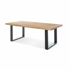 Esstisch Tina 200 x 100 cm