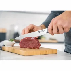 Fleischmesser Now S