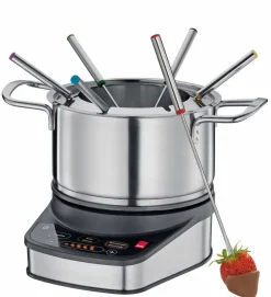 Fondue Professional