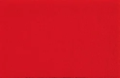 Fußmatte Scarlet 50 x 75 cm