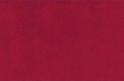 Fußmatte Regal Red 40 x 60 cm
