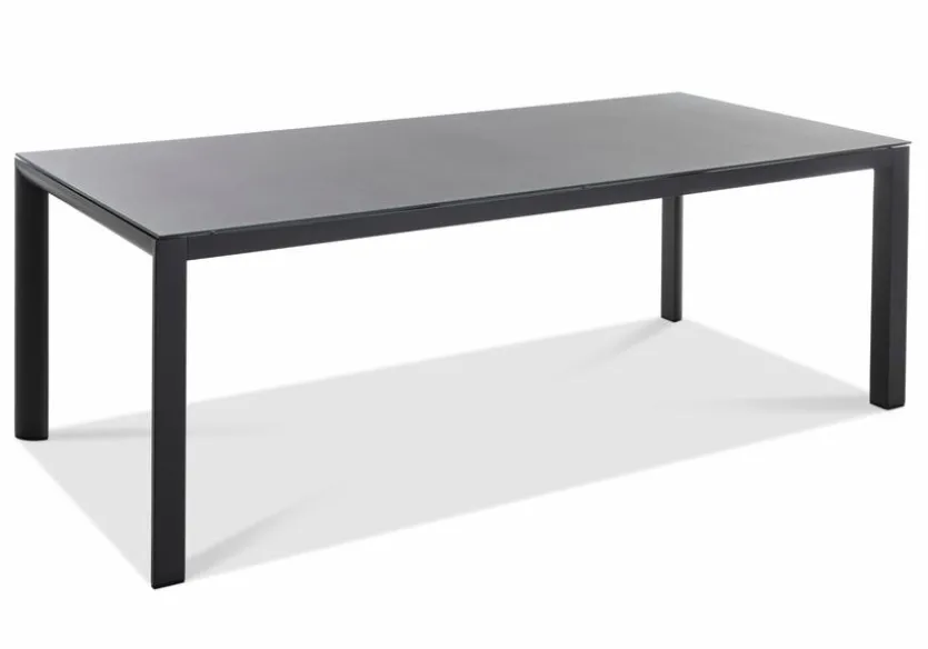 Gartentisch Deluxe Alu 220 x 100