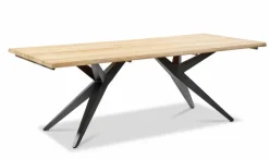 Gartentisch Holland 220 x 95 cm