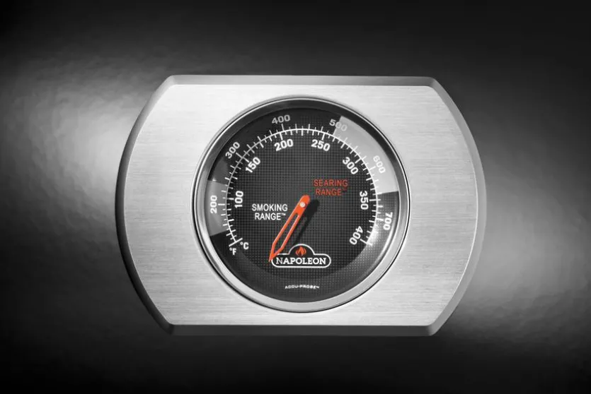 Gasgrill Rogue® 425