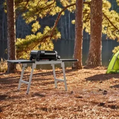 Gasgrill Slate GP 43 cm