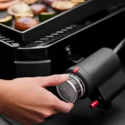 Gasgrill Slate GP 43 cm