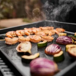 Gasgrill Slate GP 43 cm