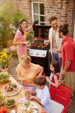 Gasgrill SPIRIT E-325 GBS