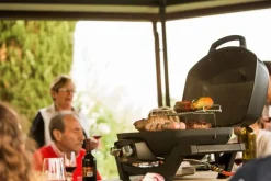 Gasgrill TRAVELQ™ PRO285