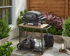 Gasgrill Weber-Q
