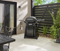 Gasgrill Weber-Q