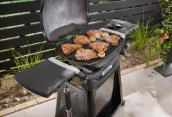 Gasgrill Weber-Q
