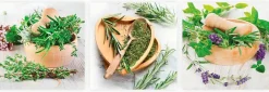 Glasbild 3tlg. Fresh Herbs