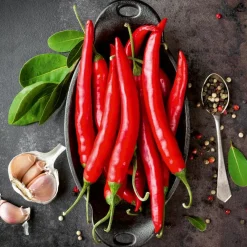 Glasbild 20 x 20 cm Red Chili Peppers I