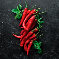 Glasbild 30 x 30 cm Red Chili Peppers III