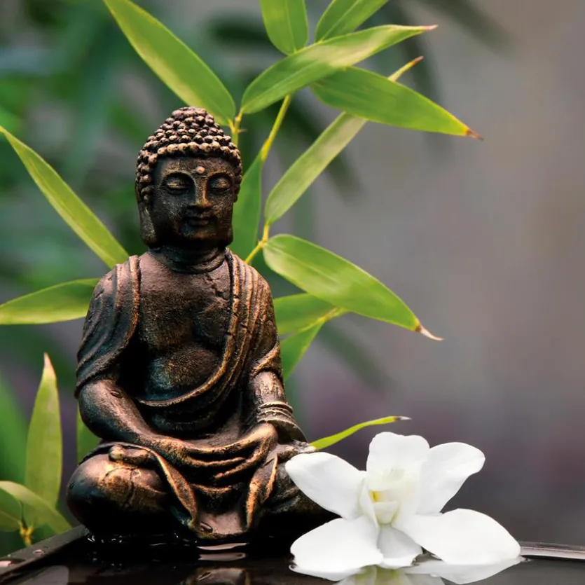 Glasbild 30 x 30 cm Zen bamboo I
