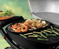 Grillplatte Grillplatte 40 x 22 cm