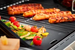 Grillplatte Vario