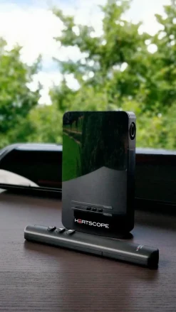 Heizstrahler Steuerungseinheit Smartbox