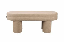 Hocker Fern