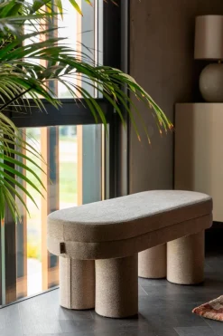 Hocker Fern