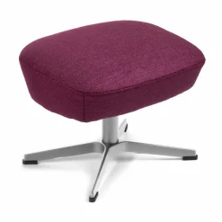 Hocker Turtle