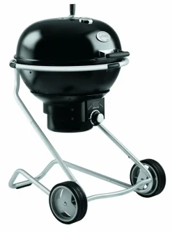 Holzkohlegrill No. 1 Air F50