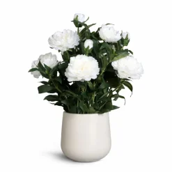 Kunstblume Päonien-Arrangement 66 cm