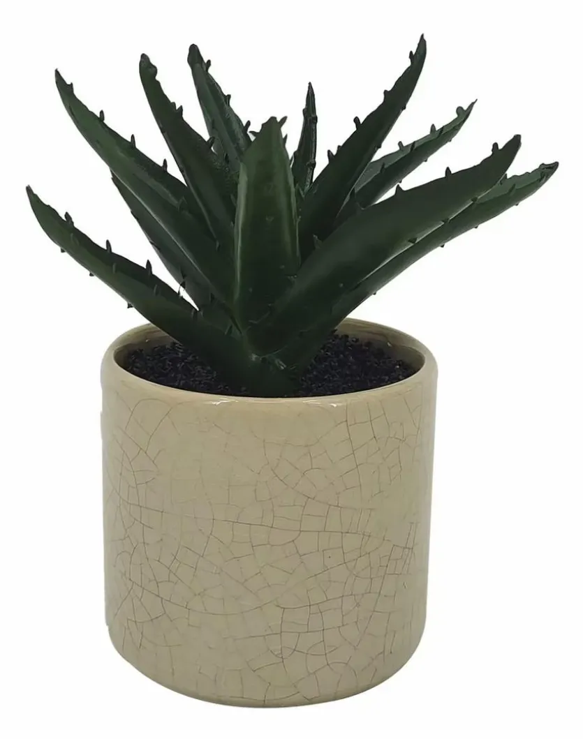 Kunstpflanze Aloe 15 cm