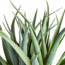 Kunstpflanze Aloe 53 cm